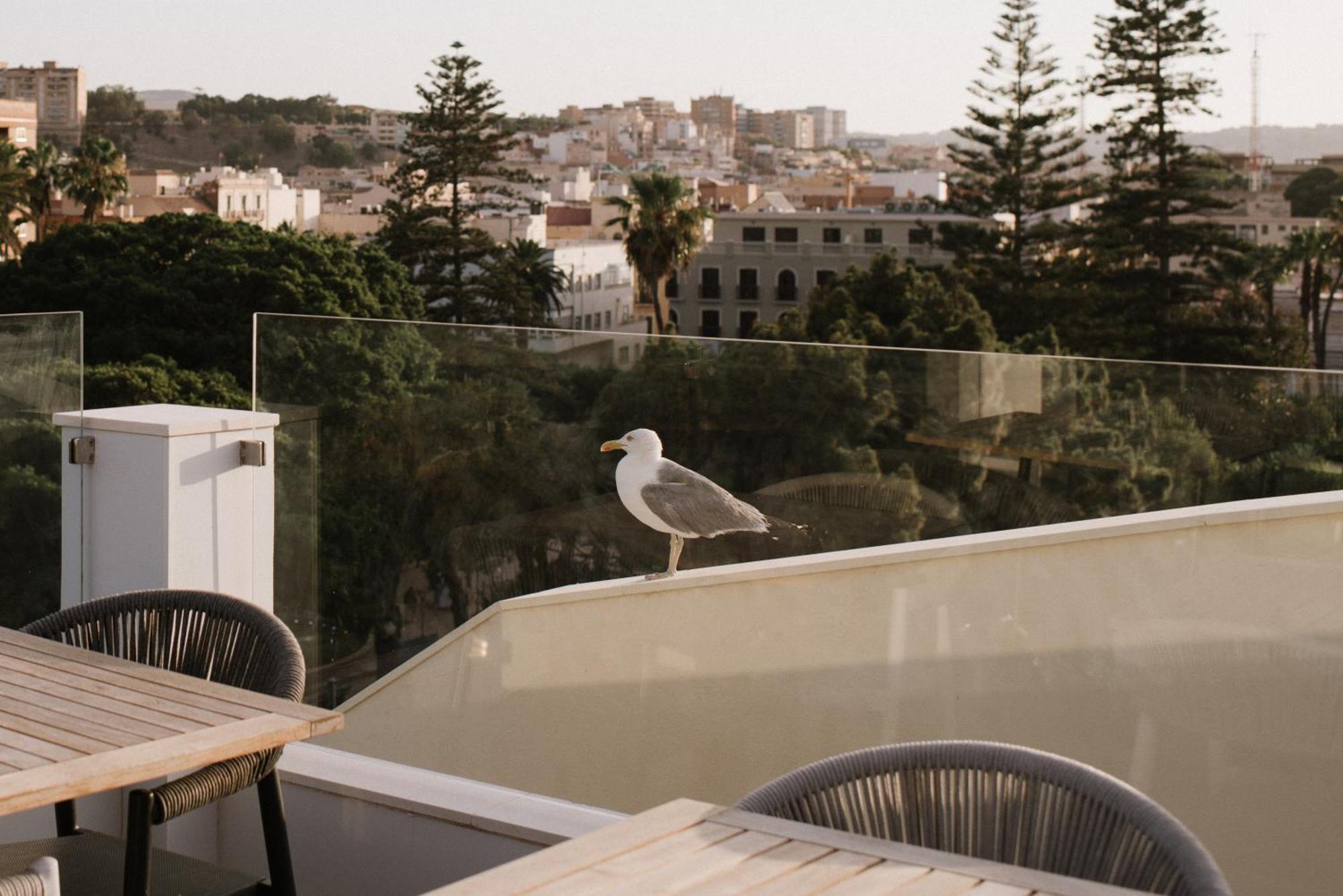 Hotel Melilla Centro 외부 사진